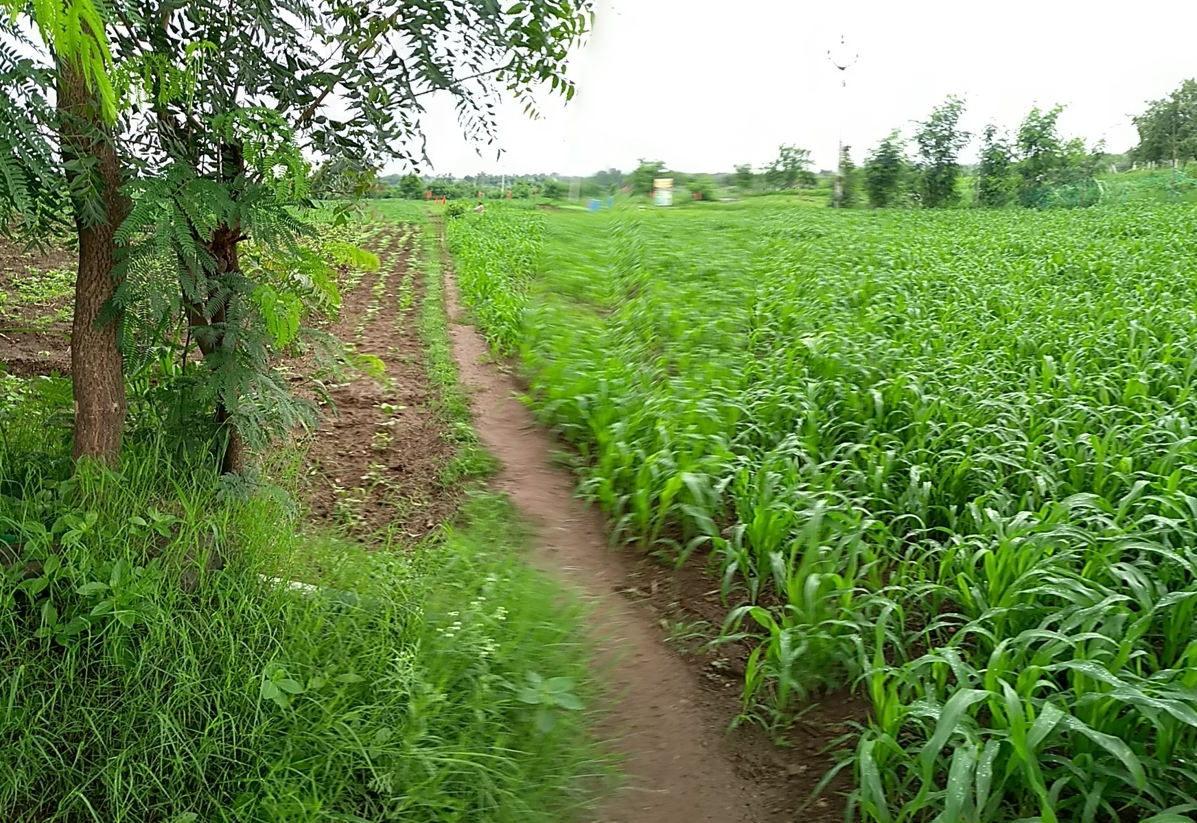 शेती प्रयोग