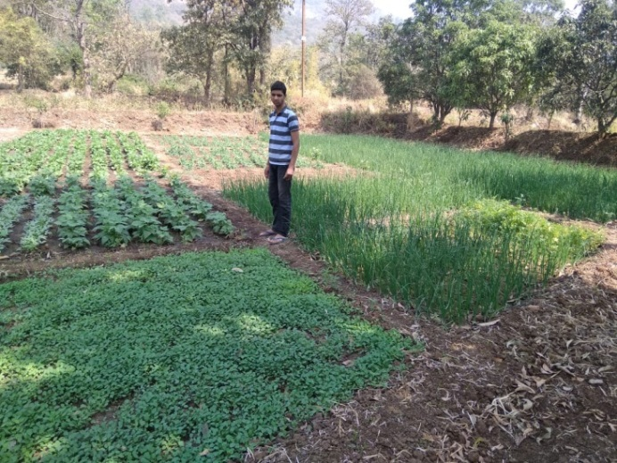 CBOF प्रकल्प